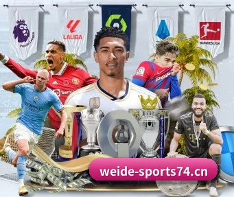 韦德体育sports74 APP